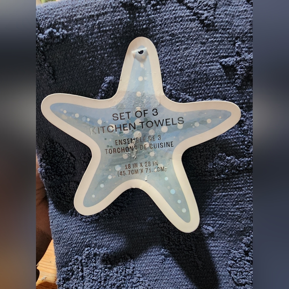 Set Of 3 Kitchen Towels  Blue. New      18 In X 28 In